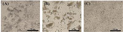 Isolation and Genomic Characterization of Avian Reovirus From Wild Birds in South Korea